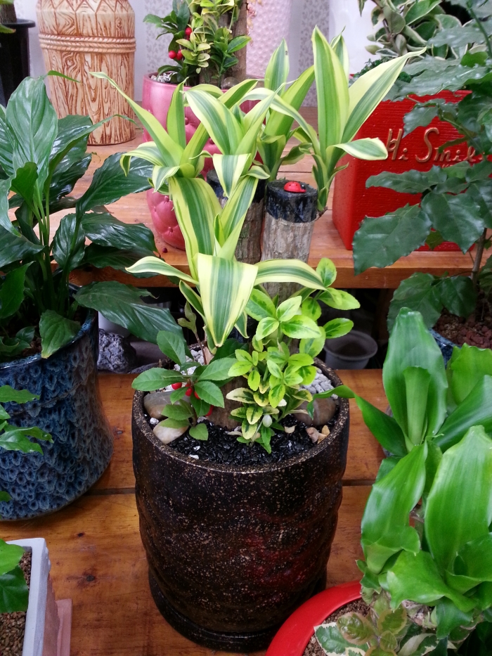 6�� ����