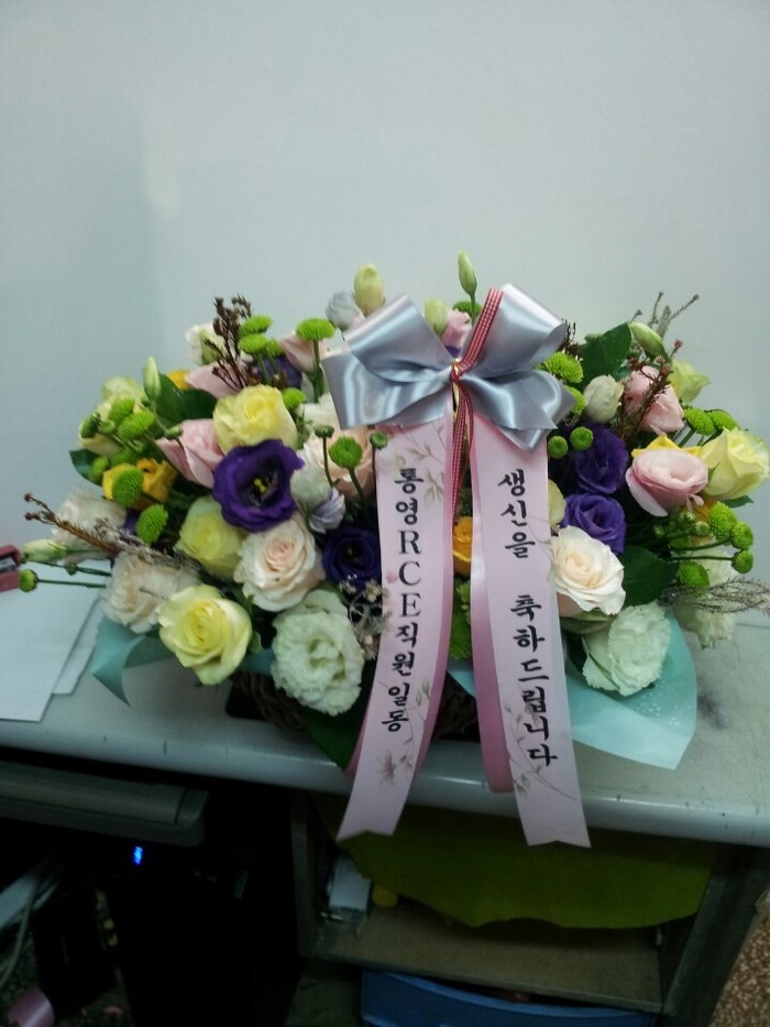 �뿵����/�뿵�ɹ��/��� �����Դϴ�